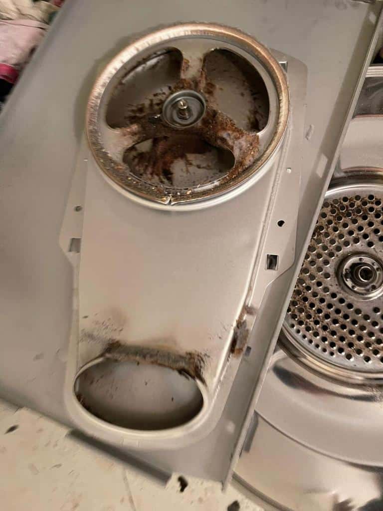 Skilled technicians for Fisher Paykel dryer issues in Newmarket