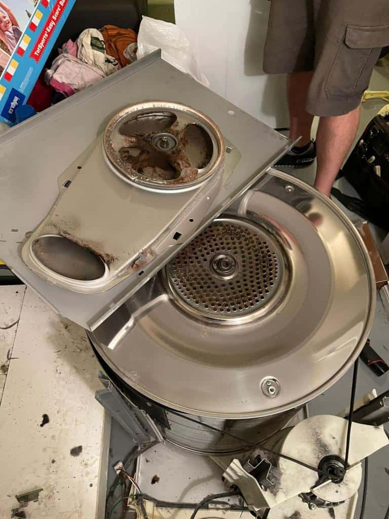 Fisher Paykel dryer technician in Newmarket