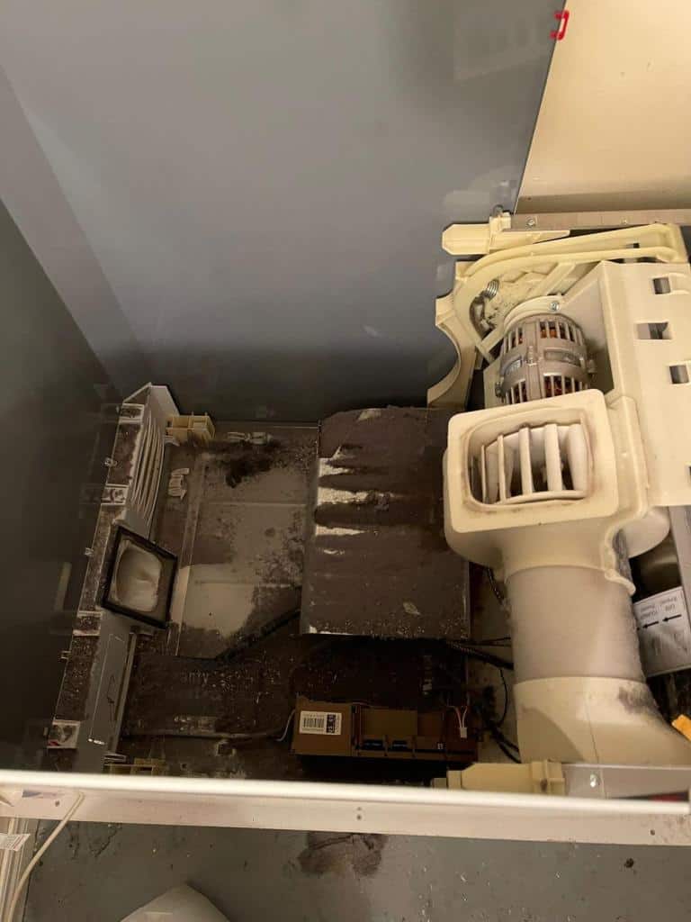 Quick and efficient Fisher Paykel dryer repair Newmarket