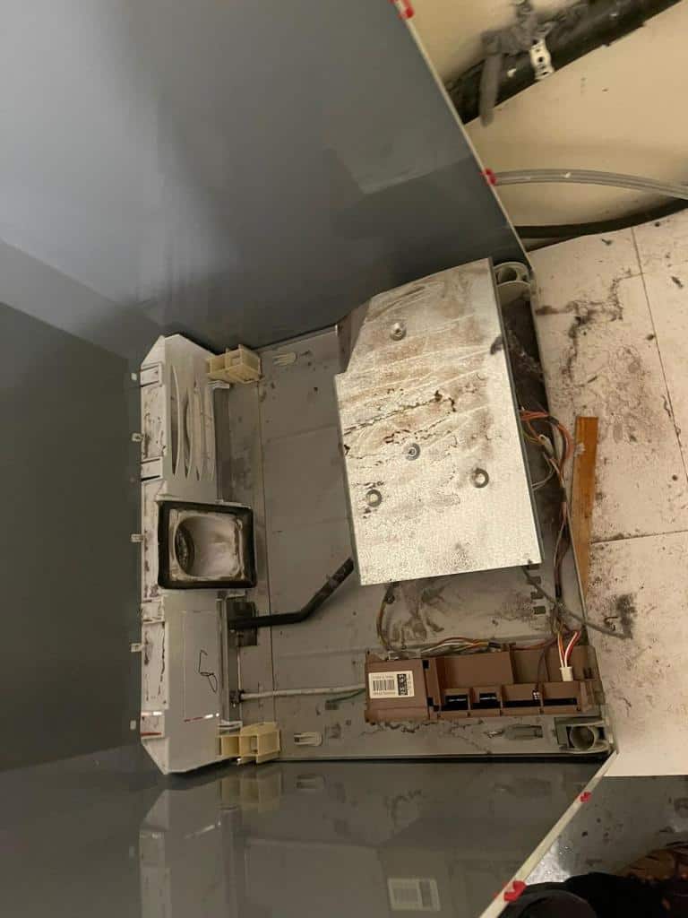 Fisher Paykel dryer experts for Newmarket residents