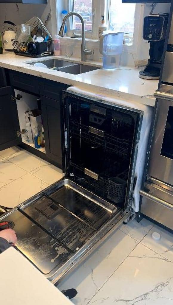 Professional dishwasher repair Newmarket