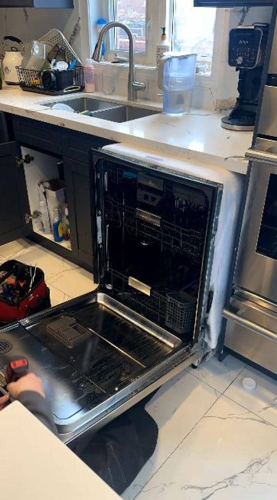 Reliable dishwasher power fix Newmarket