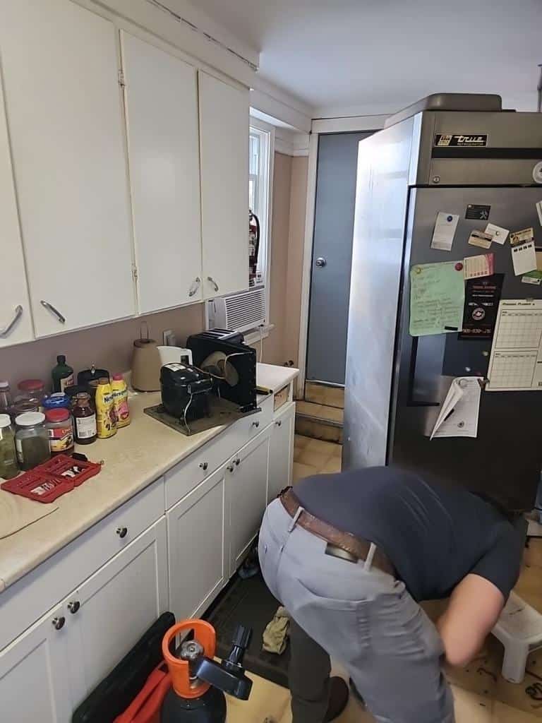 Professional True commercial fridge ice maker repair